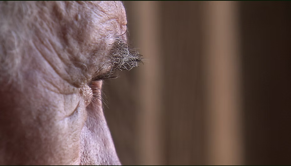 d7b227_2c3dd59142f66205df4da4d6871c94bd