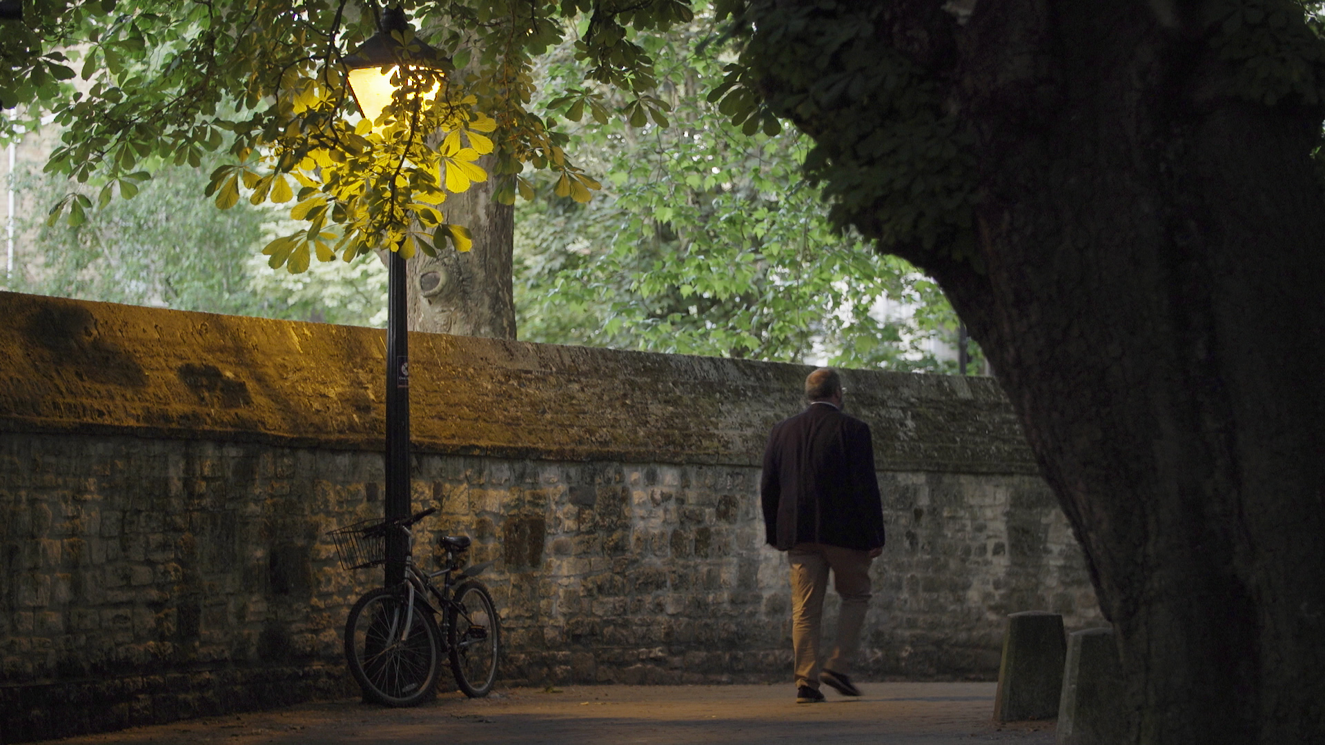 UN CAMINO INESPERADO